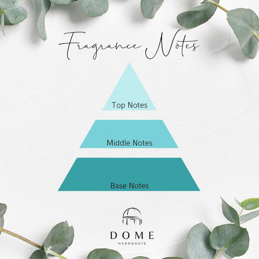 Let’s Talk Fragrance Notes!