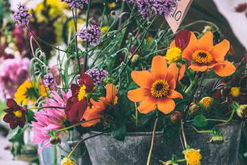 Top tips to add Spring to your interiors