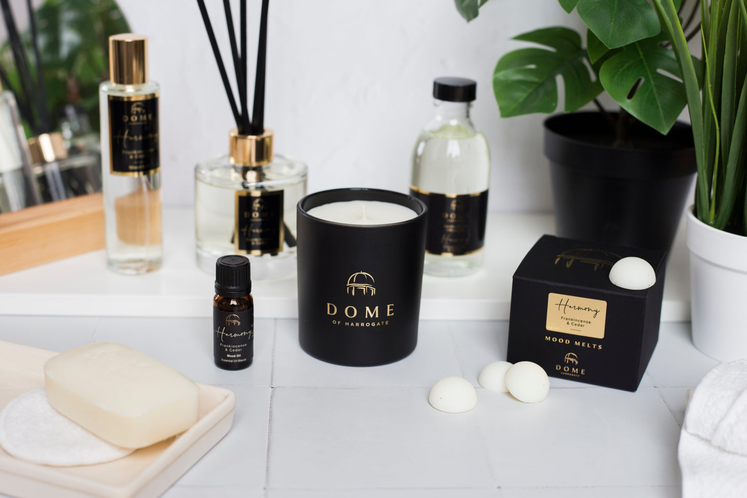 HARMONY Frankincense & Cedar