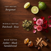 DIVINE Dark Amber & Sandalwood Mood Mist 100ml