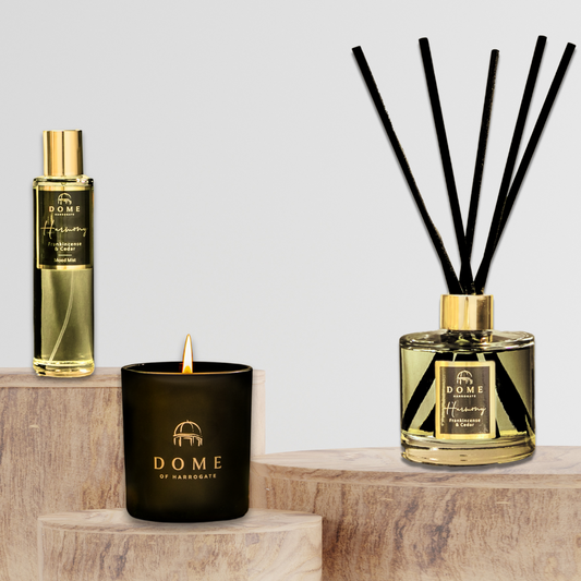 HARMONY Frankincense & Cedar Mood Mist 100ml