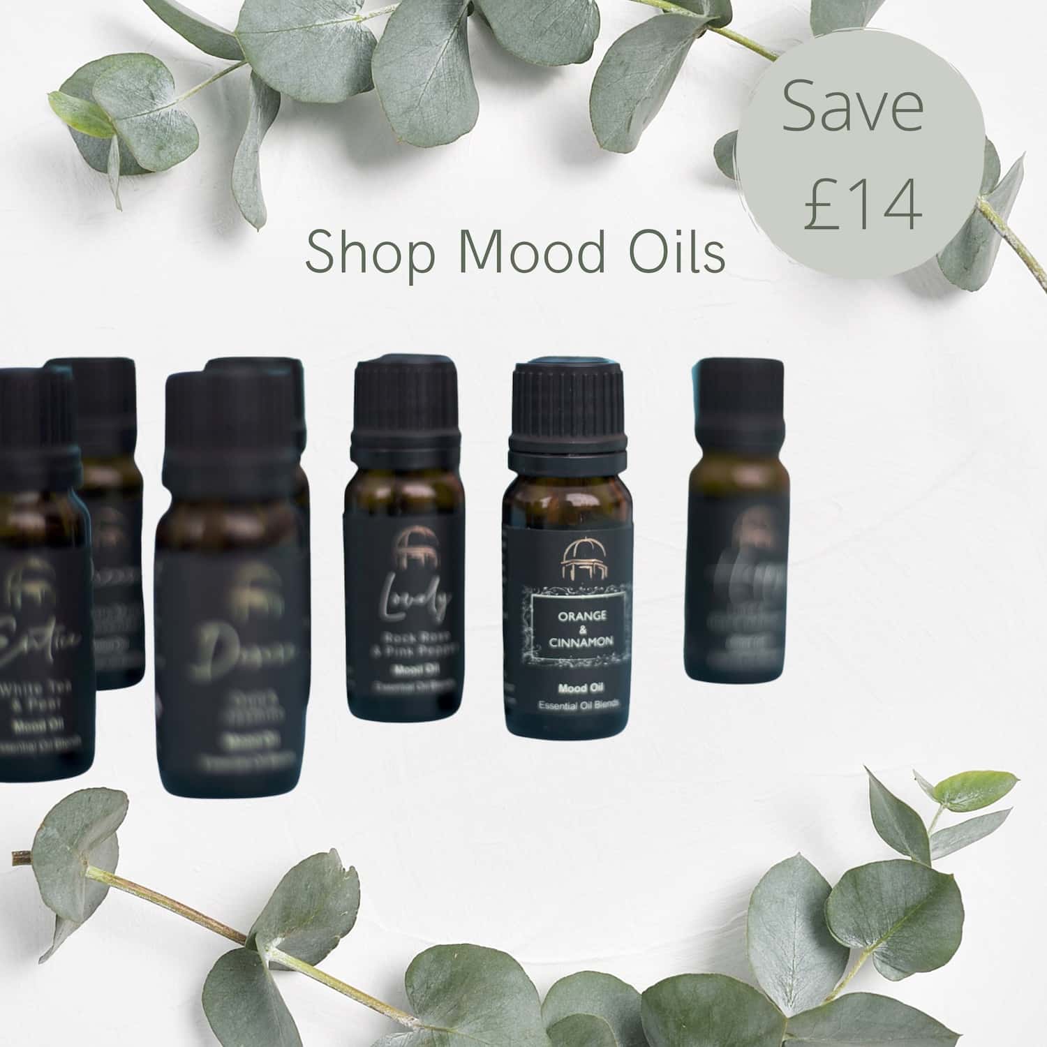 Mood Oil Collection